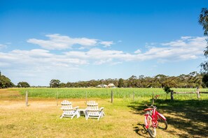 Property grounds - Freshwater Creek Cottages and Farm Stay (Freshwater Creek)