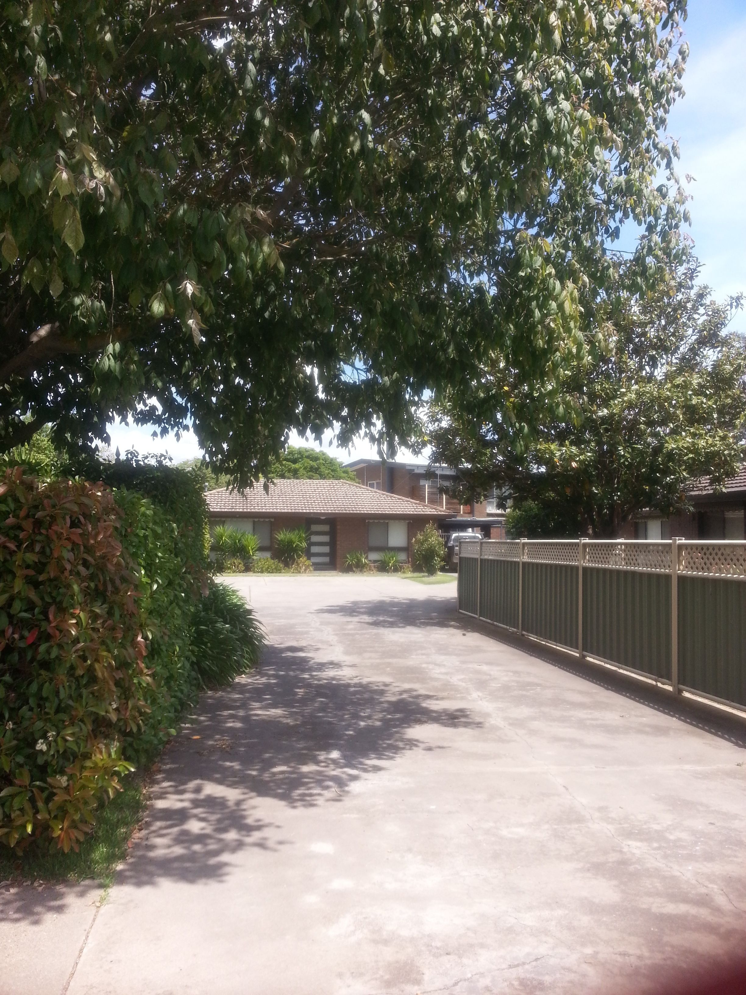 Un camino de entrada residencial que lleva a una casa con techo de tejas, rodeada de abundante follaje y una cerca de metal.