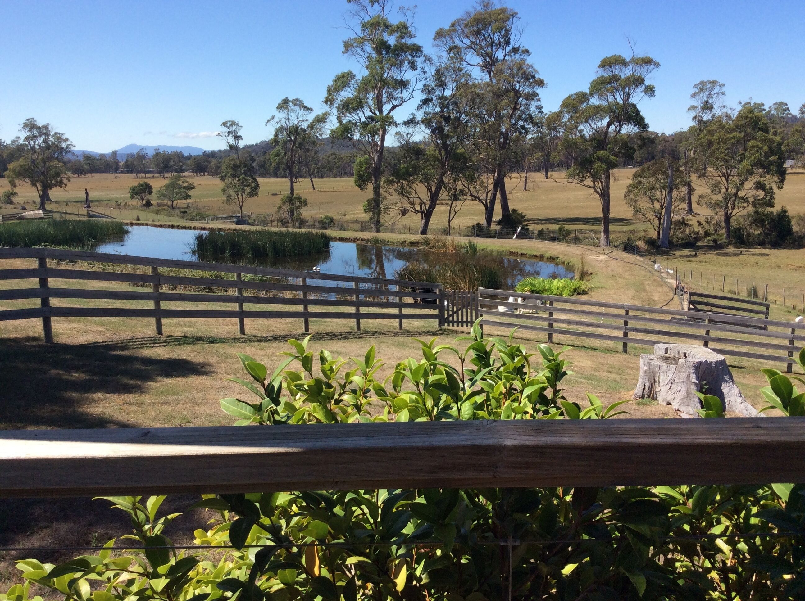 Hazelcreek Cottages — image 18
