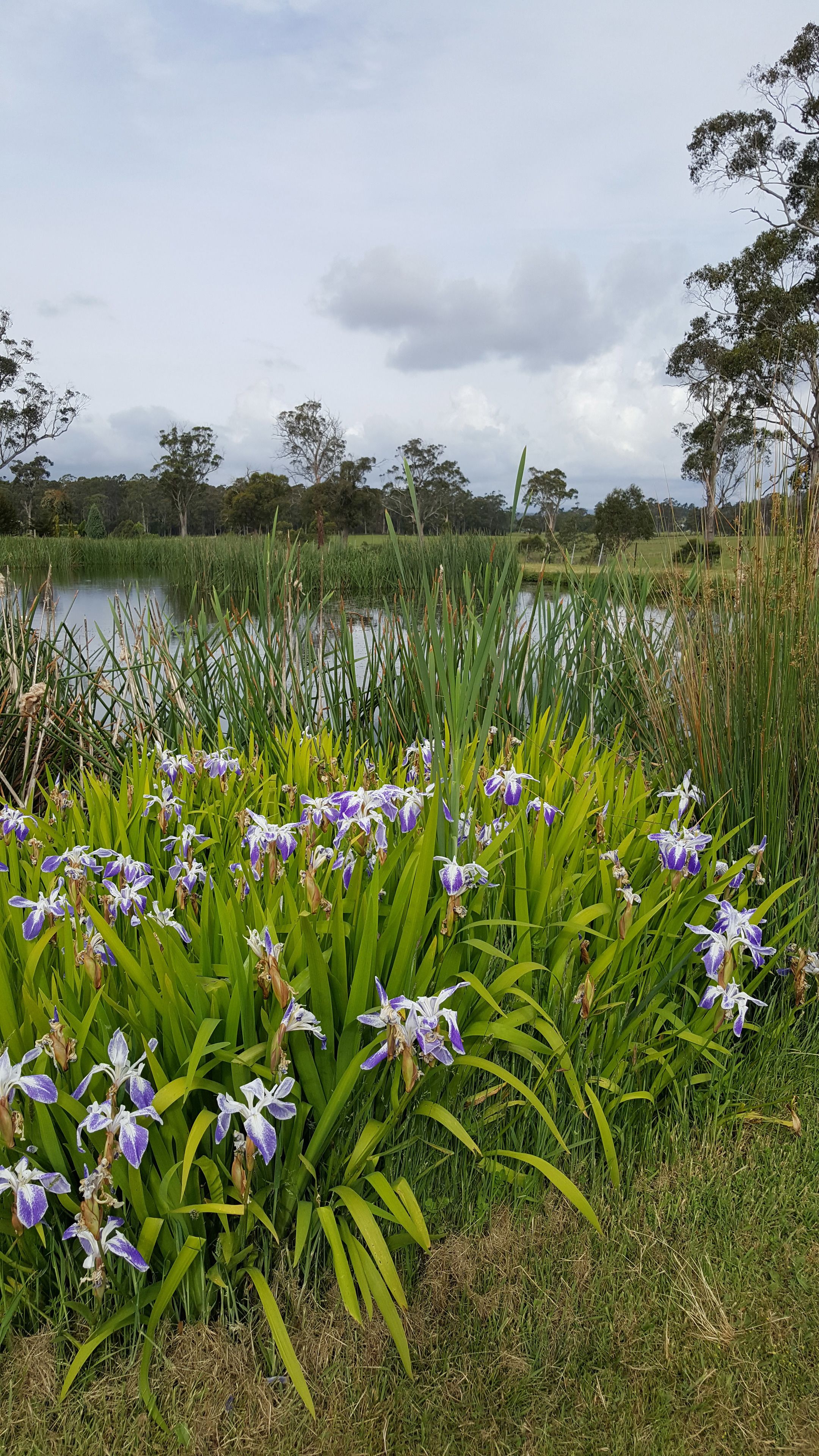 Hazelcreek Cottages — image 15