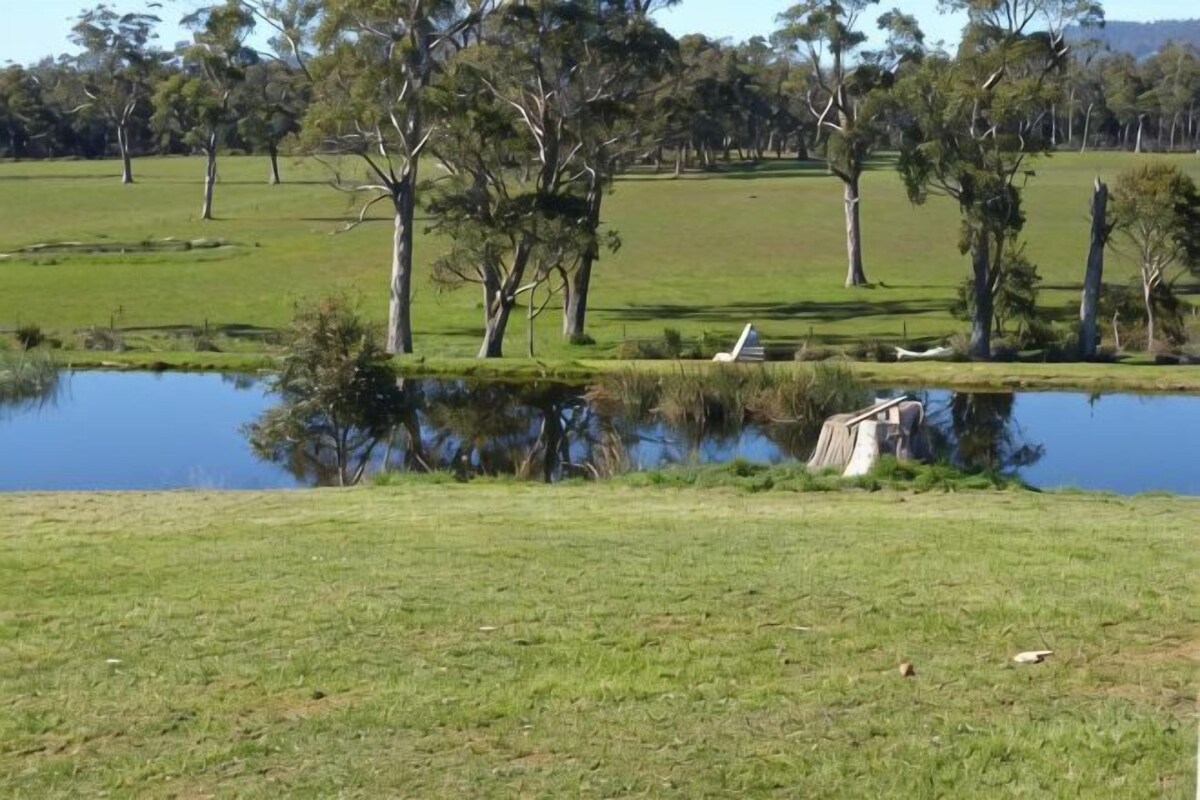 A grassy field with a pond and trees in the background.