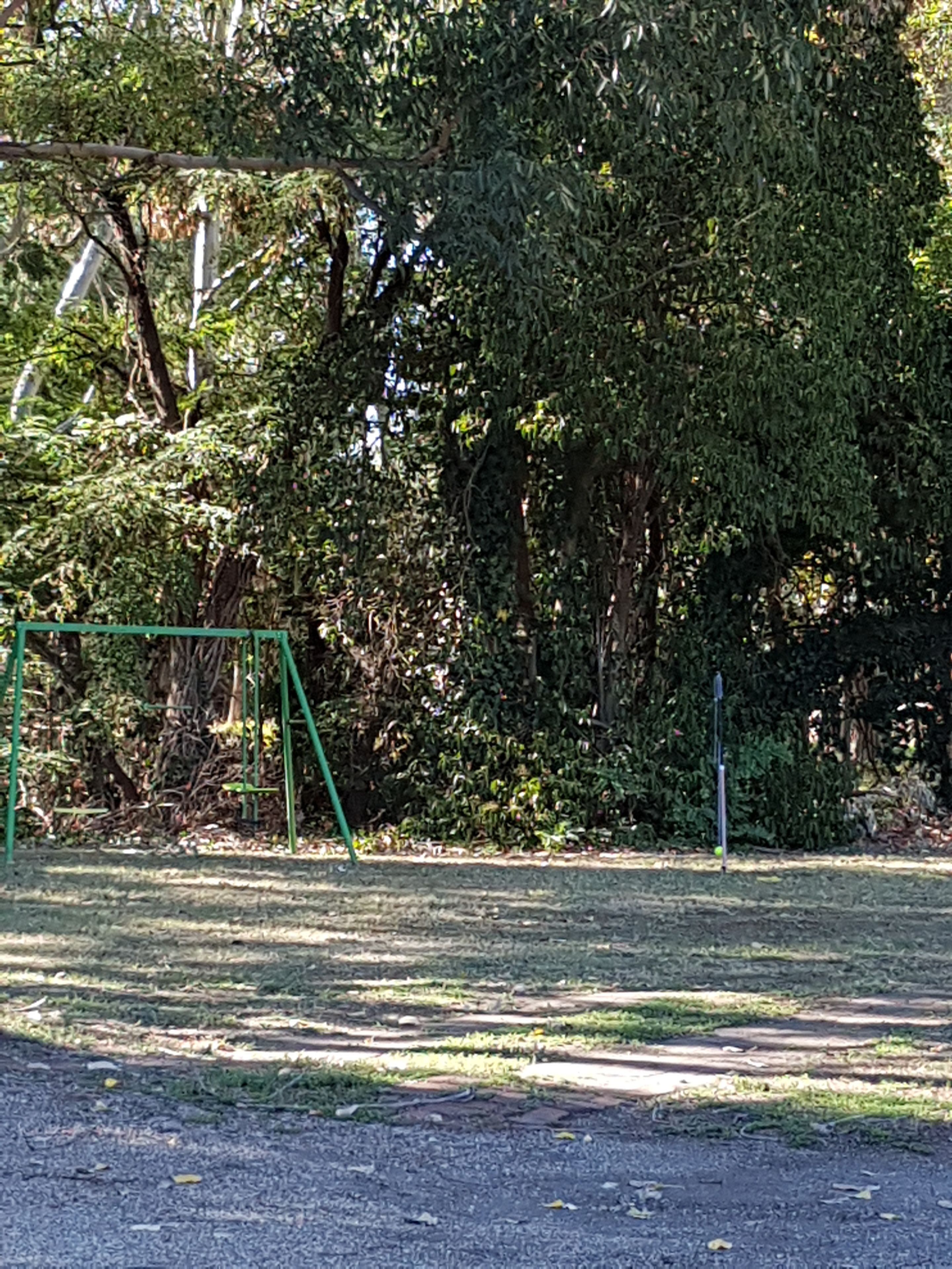 A park with a green swing set, a paved path, and dense foliage in the background.