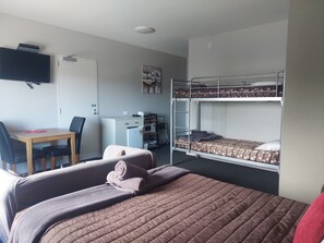 Desk, iron/ironing board, free WiFi, bed sheets - Northpark Motel (Timaru)