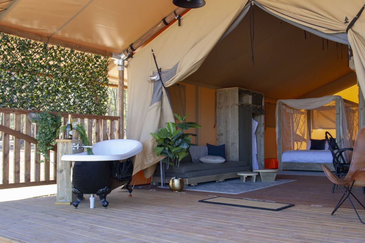 Safari Tent | Living area
