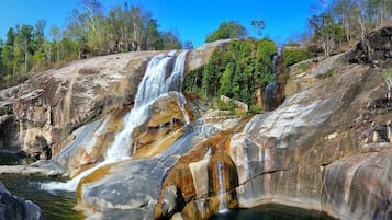 Un paysage naturel avec une cascade qui dévale de grandes roches pour se jeter dans un bassin, le tout étant entouré d’arbres.