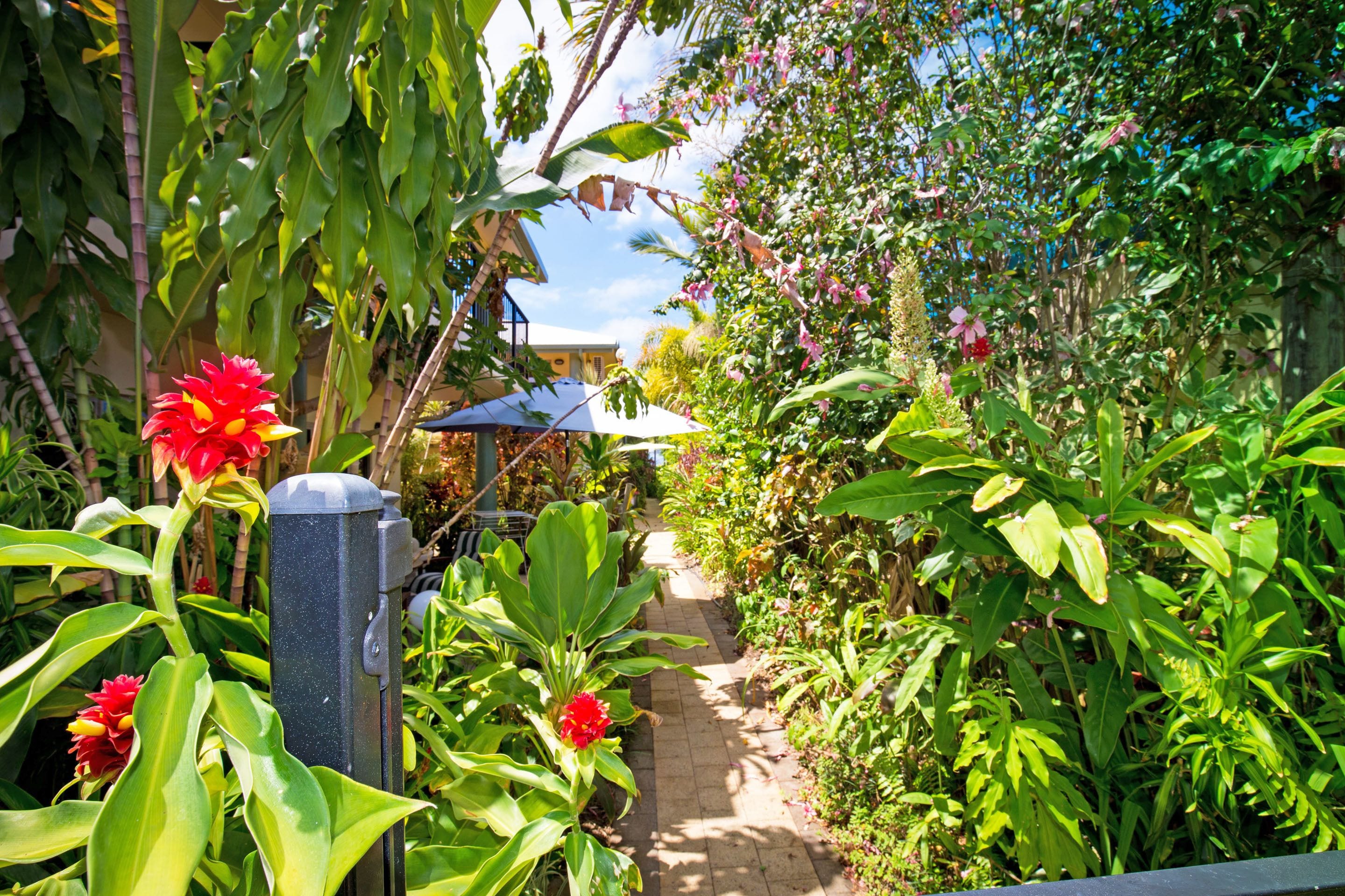 Terrein van de accommodatie