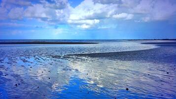 Een strand met heldere lucht en rustig water.