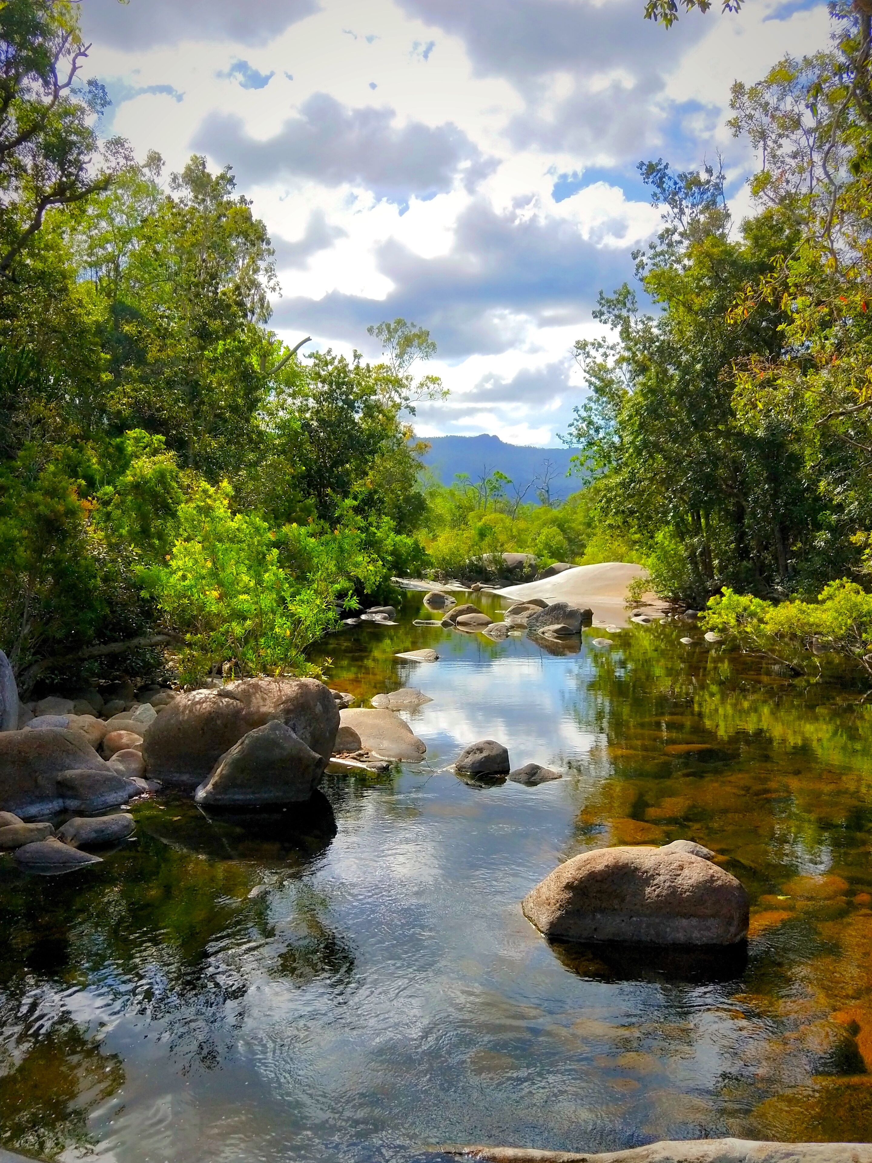Una vista despejada de un arroyo natural con rocas y vegetación, rodeado de árboles y una montaña al fondo.
