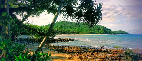A beach with rocky shore, palm trees, and a forested hill in the background.