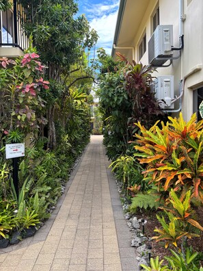 Property grounds - Mission Reef Resort (Wongaling Beach)