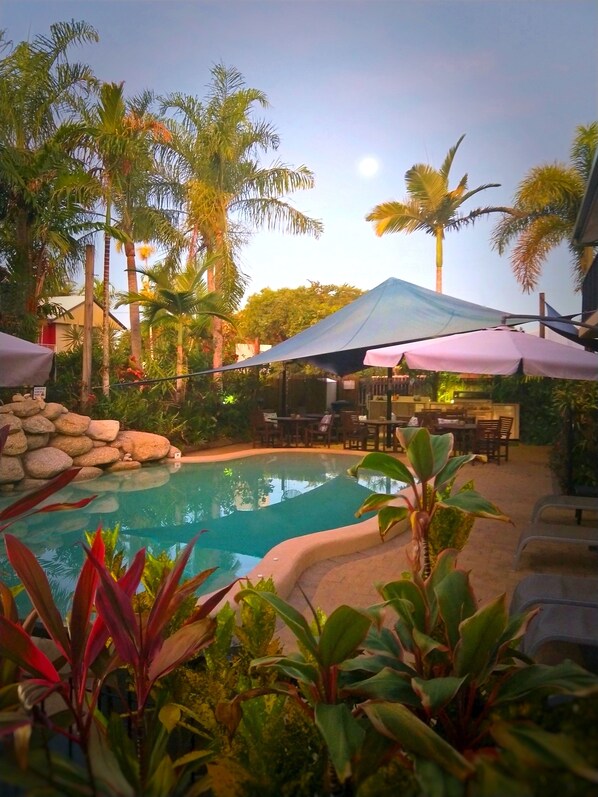 A pool area with a stone structure, surrounded by tropical plants and palm trees.