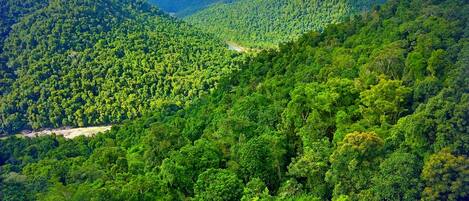 A dense forested mountain landscape with a winding road.