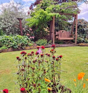 Superior-studiolejlighed - ikke-ryger - tekøkken (Bellbird Room) | Haveudsigt