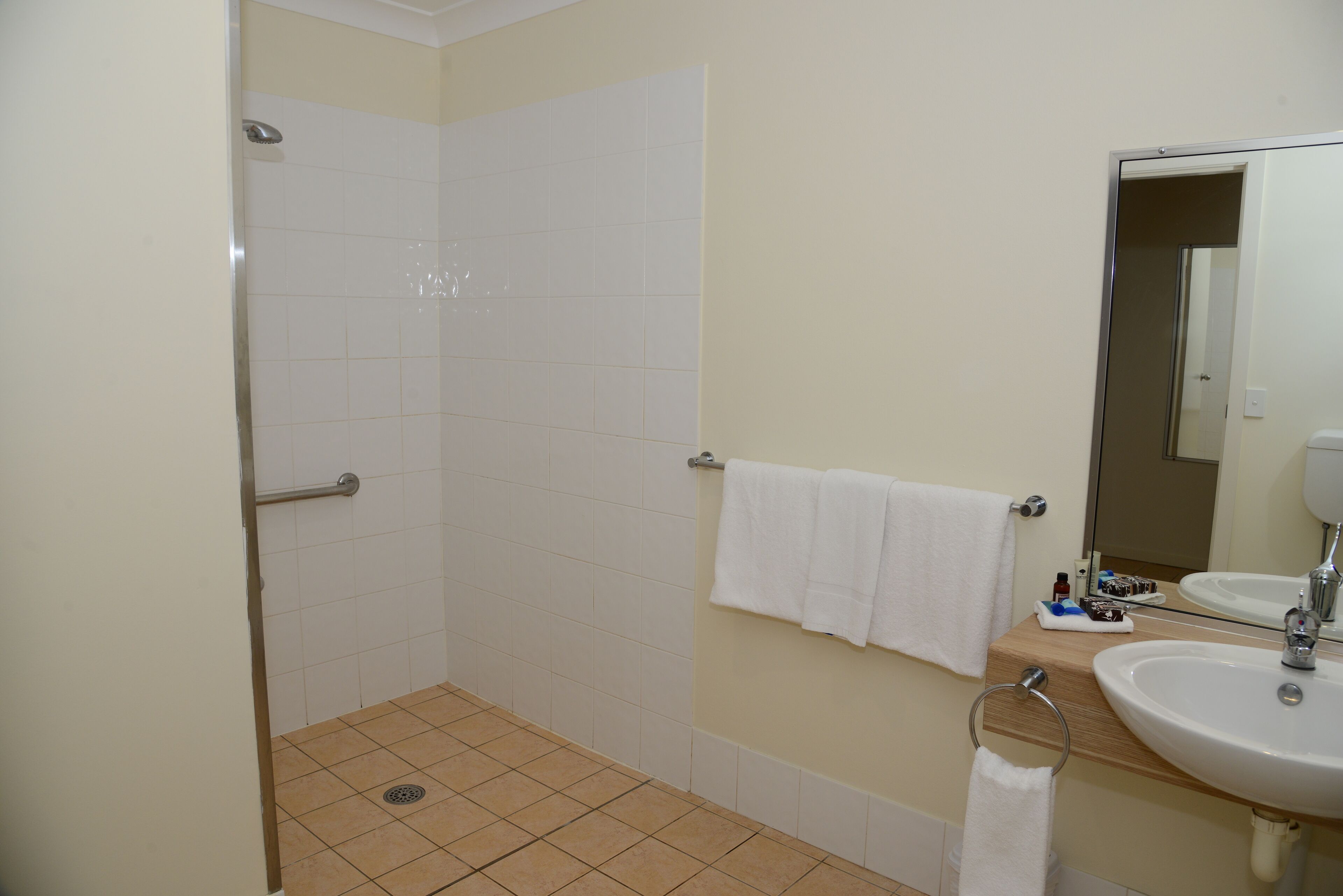A bathroom with a shower, a sink, and a mirror.