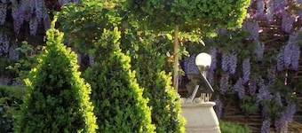 Bowral Road Bed and Breakfast