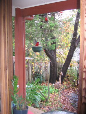 Jasmine Suite | View from room