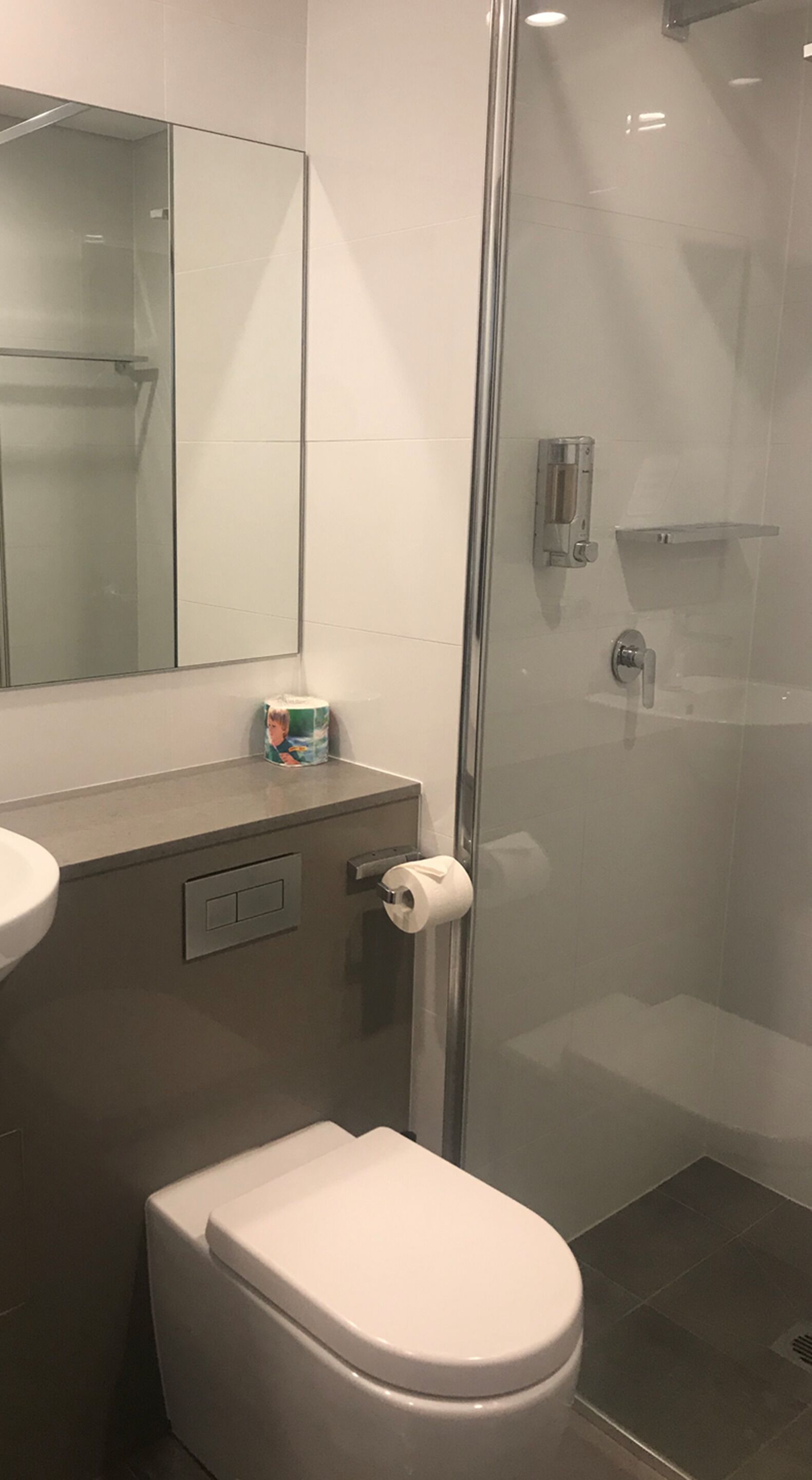 Een douche, een haardroger, handdoeken