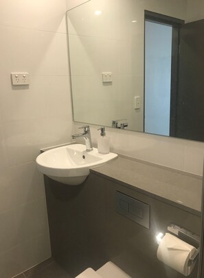 Chuveiro, secador de cabelo, toalhas de banho 