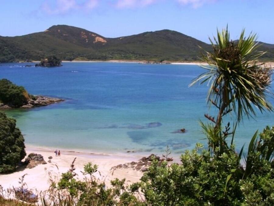 Un paysage côtier avec une plage, une eau cristalline et des collines verdoyantes en arrière-plan.