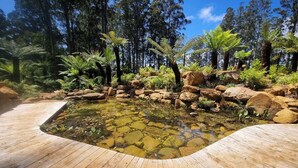 A wooden deck surrounding a clear pond with rocks and ferns, set in a forested area. - Garden Cottage at Fern Falls Cottages (Mount Dandenong)