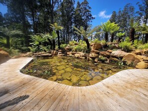 สระธรรมชาติ