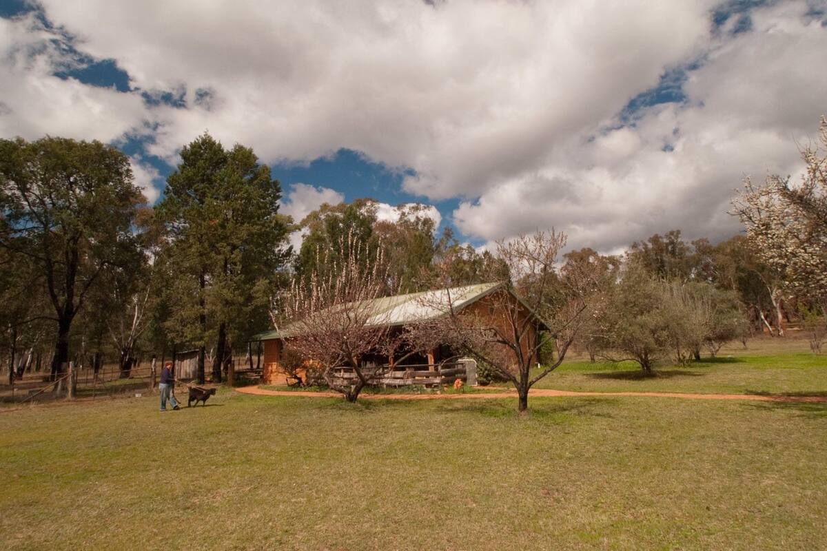 Un edificio rústico de madera con techo de metal, rodeado de árboles y un campo cubierto de hierba.