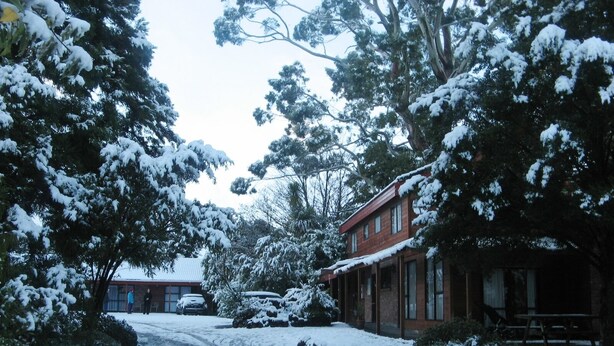 Una calle residencial cubierta de nieve con casas, un coche y una entrada para vehículos.
