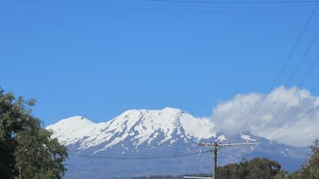 Una montagna con la cima innevata, circondata da alberi e linee elettriche.
