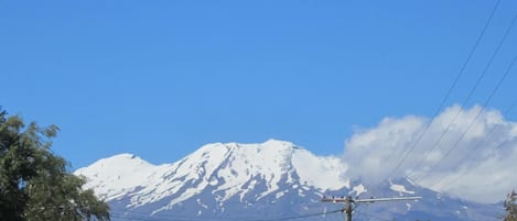 A mountain with a snow-capped peak, surrounded by trees and power lines.