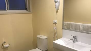 Un baño con inodoro, secador de pelo, lavabo y espejo.