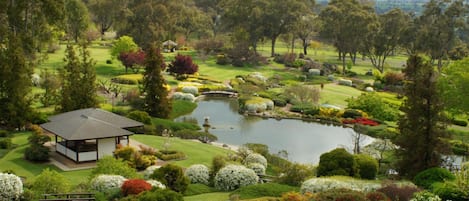 Áreas de la propiedad