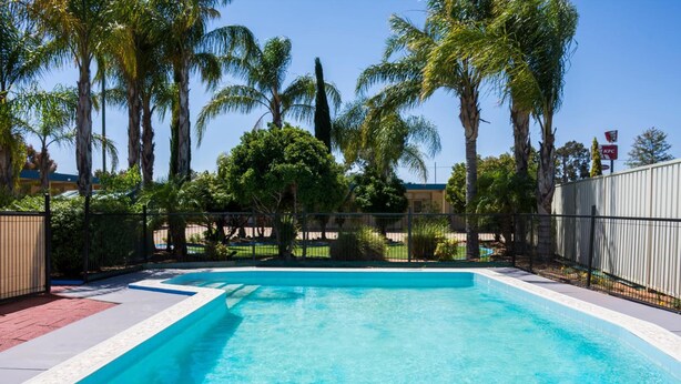 A swimming pool with clear blue water, surrounded by palm trees and a fenced area. - Renmark Motor Inn Motel (Renmark)
