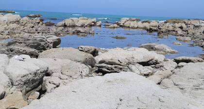 Sierra Beachfront Motel