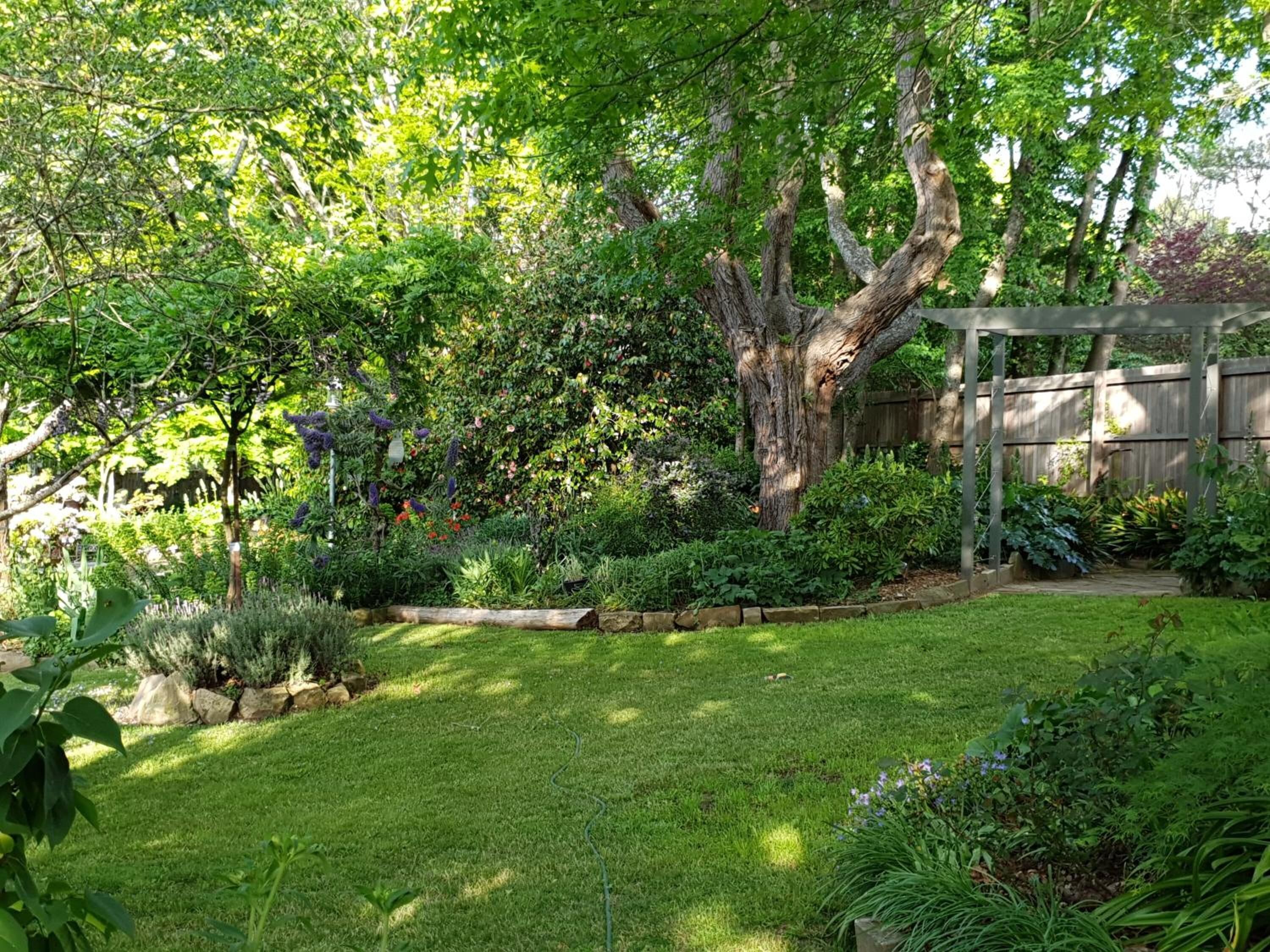 A well-maintained garden with a variety of plants and a large tree in the center.