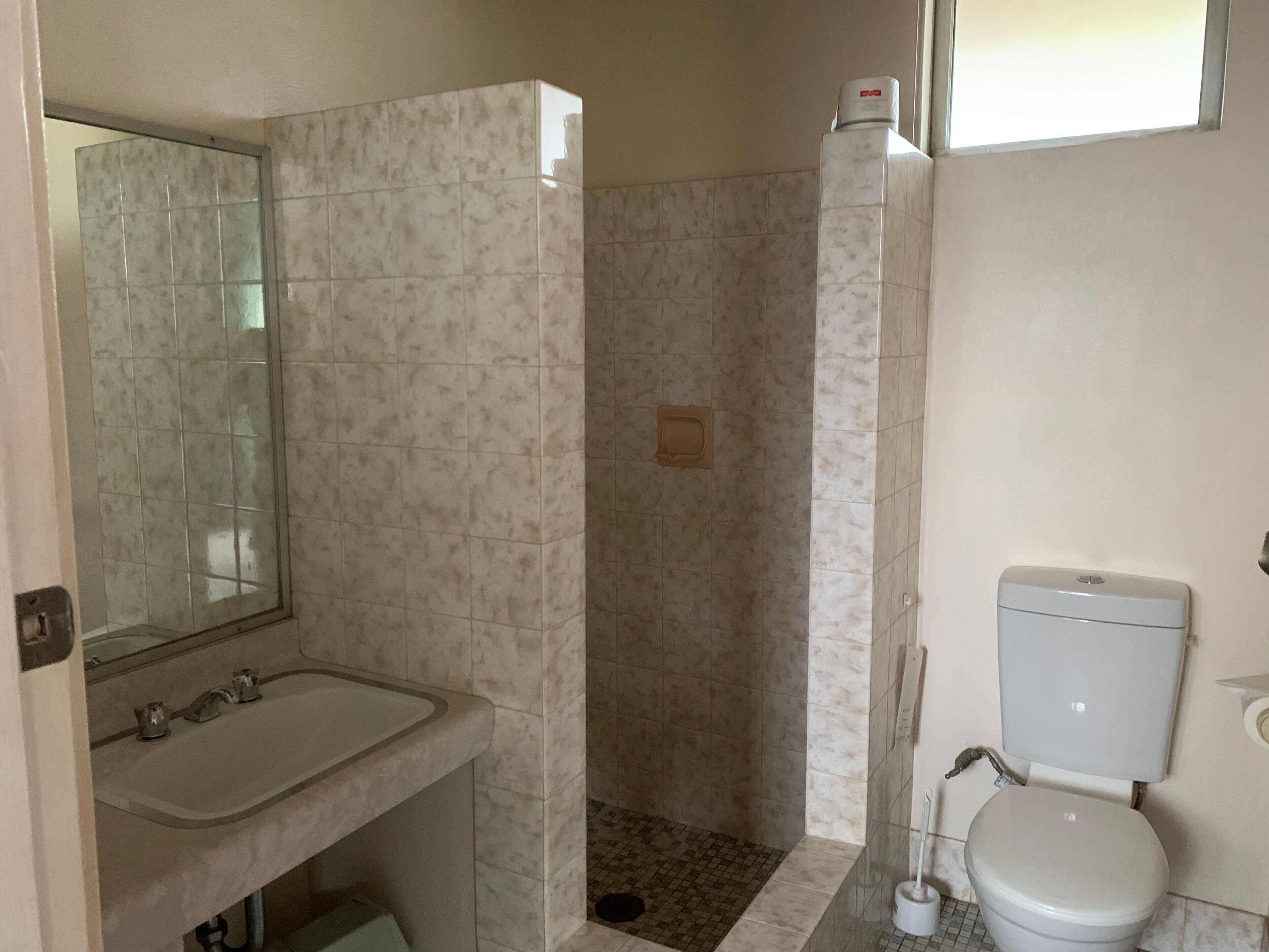 Un baño con lavabo, espejo, inodoro y zona de ducha.
