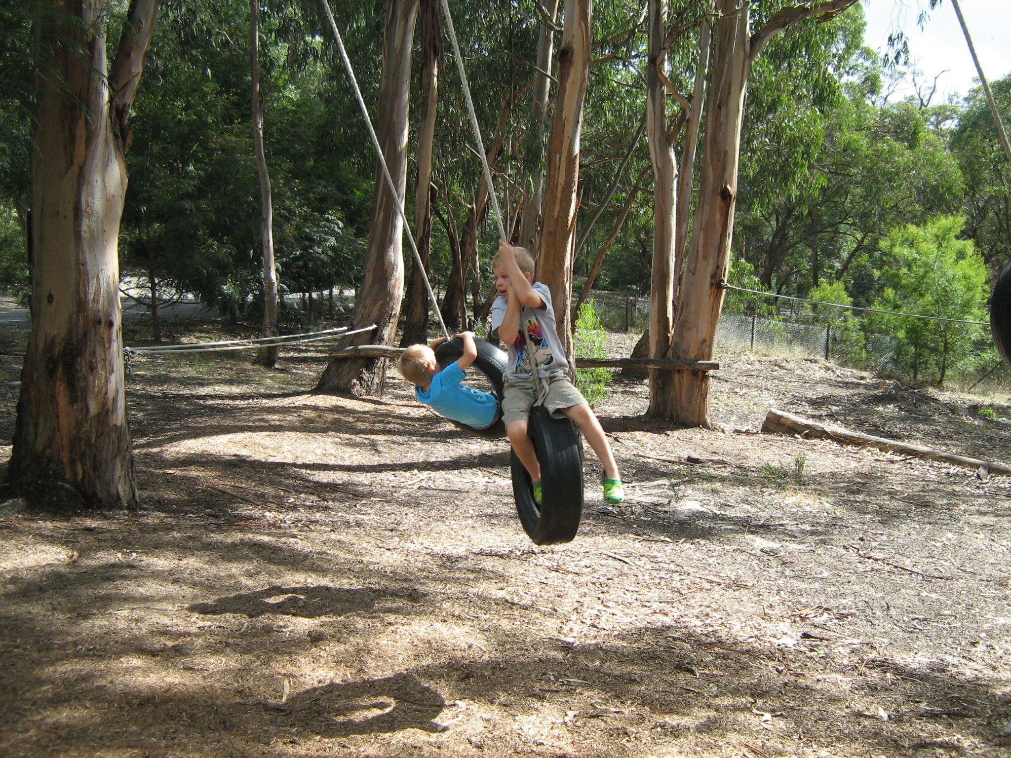 A person swinging on a tire swing in a wooded area.