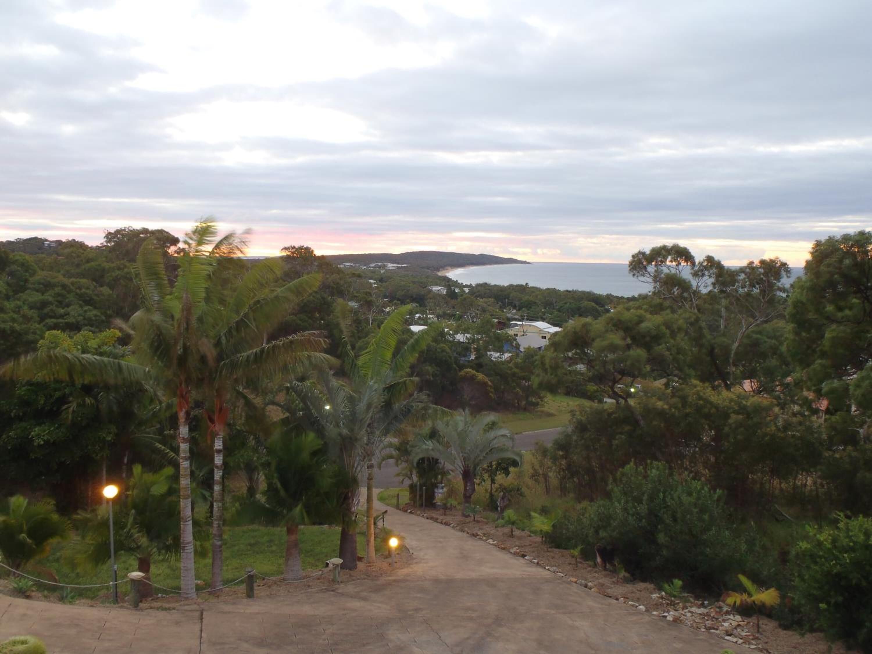 A paved pathway leading through a lush, green landscape with palm trees and a view of a coastal area in the distance.