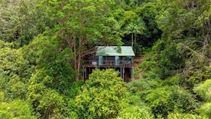 A treehouse with a green roof, surrounded by dense forest. - Treetops Seaview Montville (Montville)
