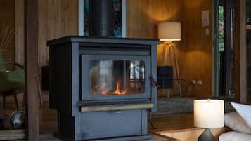 A wood-burning stove in a cozy room with wooden walls and a green door.