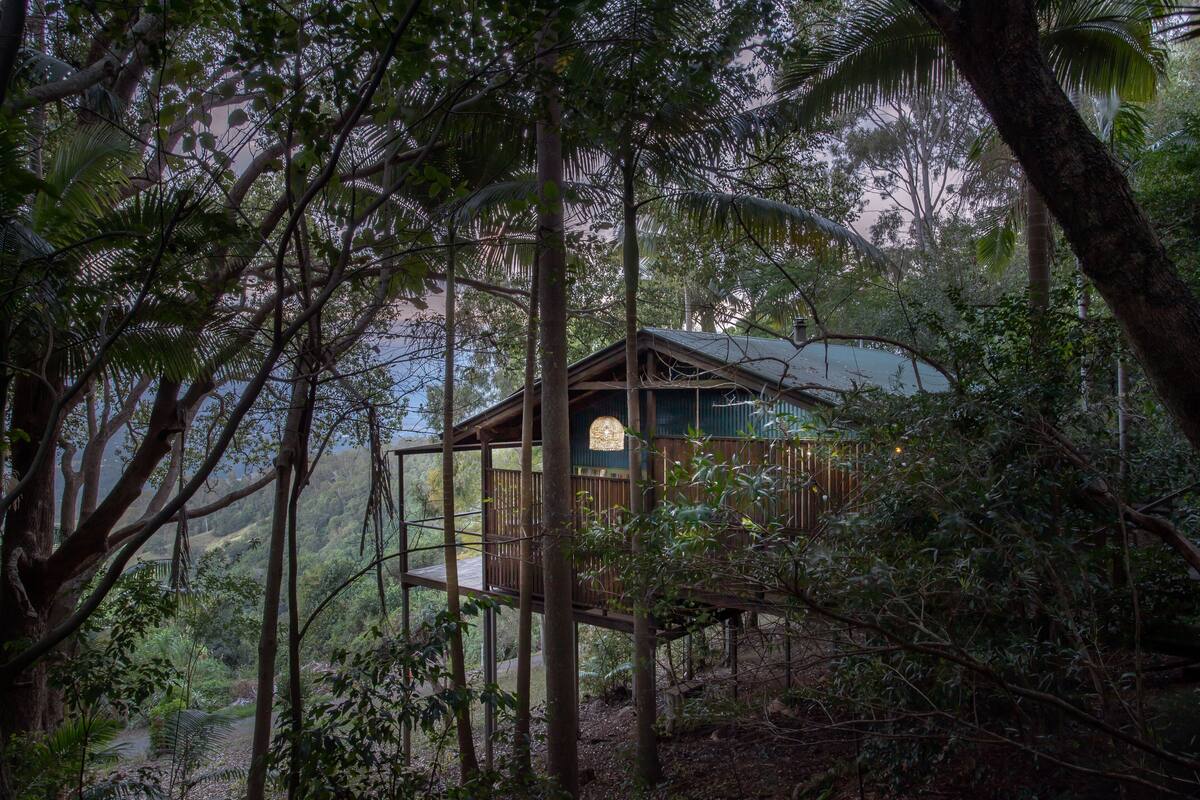 Une cabane en bois surmontée d’un dôme de verre, entourée d’une forêt dense.