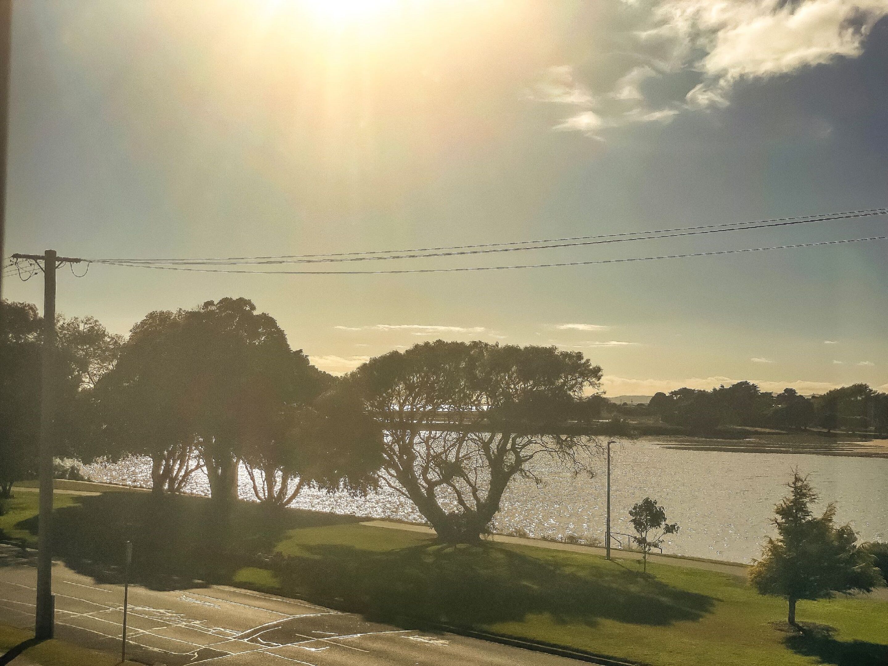 Vista de un lago con árboles y un cielo despejado.