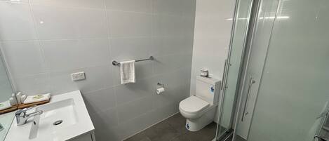 A modern bathroom with a glass shower enclosure, a white sink, and a toilet.