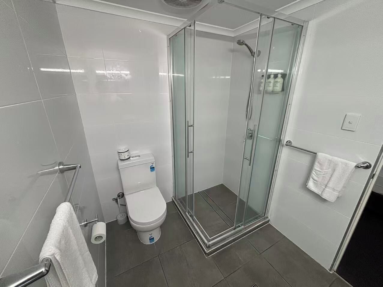 A modern bathroom with a glass-enclosed shower, a toilet, and a towel rack.