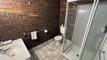 A bathroom with a white sink, a toilet, and a glass-enclosed shower.