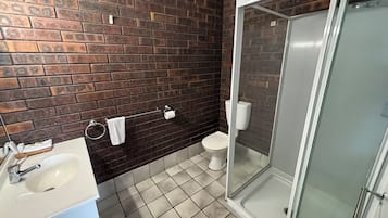 A bathroom with a white sink, a toilet, and a glass-enclosed shower.