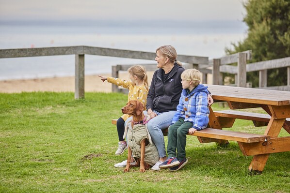 Barbecue/picknickplaats