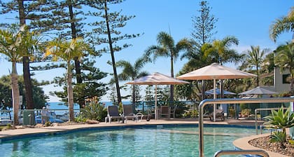 Norfolks on Moffat Beach