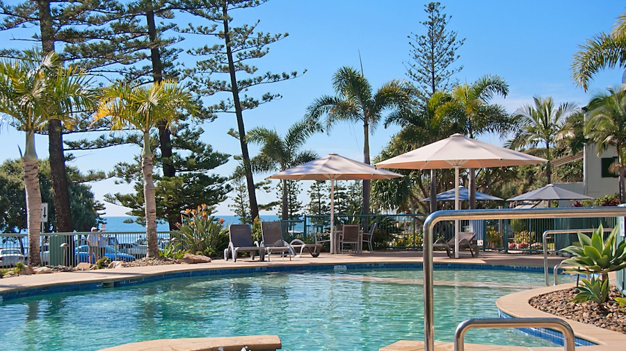 Norfolks on Moffat Beach