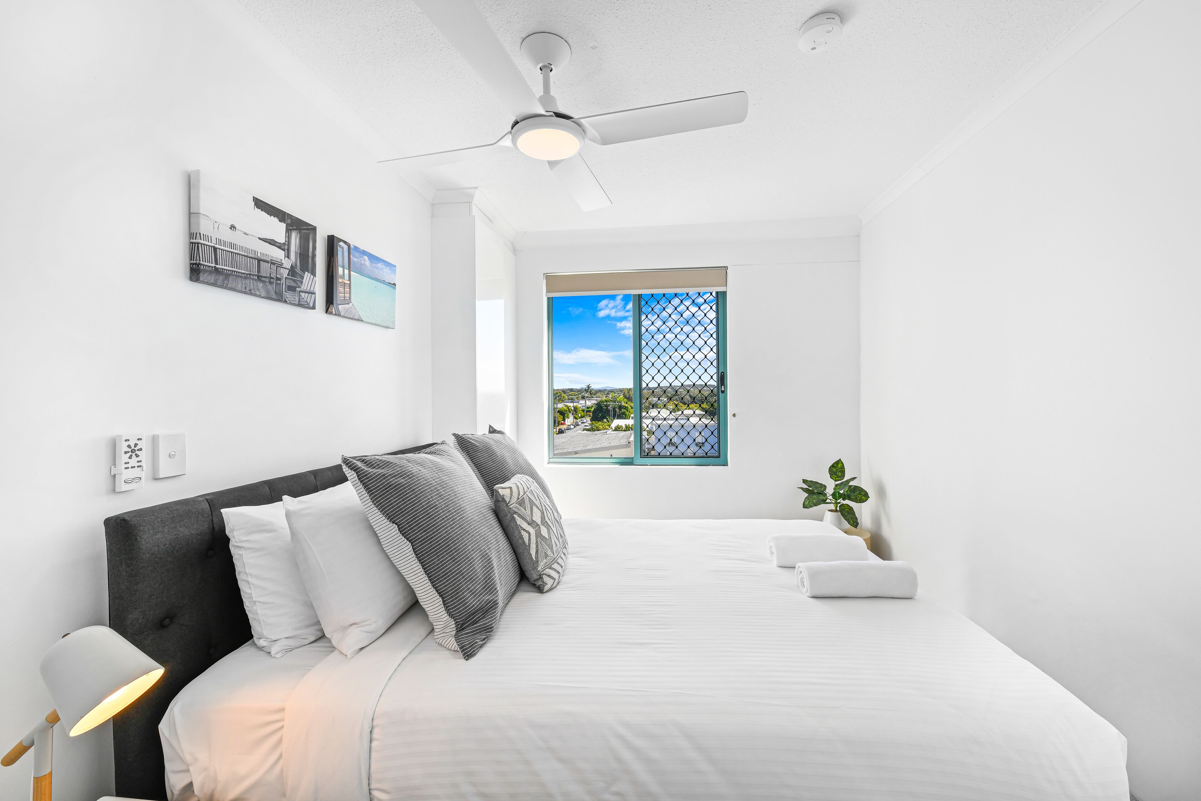 A modern bedroom with a bed, a ceiling fan, a window with a view, and a small plant.