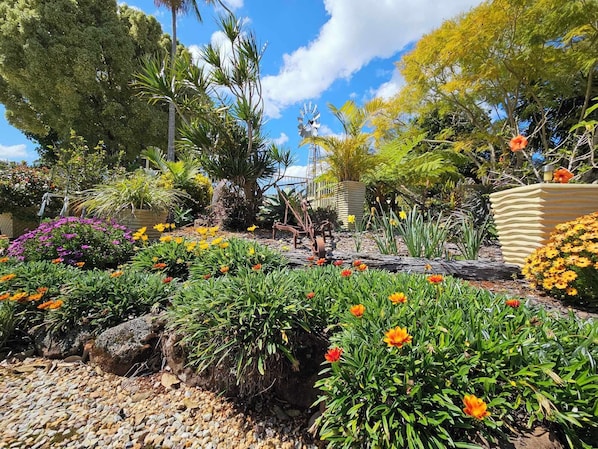 Garden - Alstonville Settlers Motel (Alstonville)